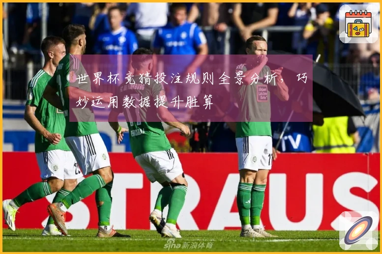 世界杯竞猜投注规则全景分析，巧妙运用数据提升胜算