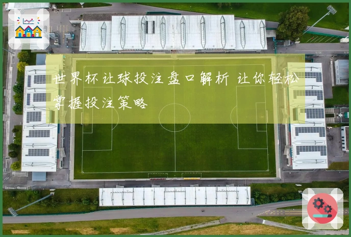 世界杯让球投注盘口解析 让你轻松掌握投注策略